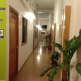 /album/fotogaleria-nuestras-instalaciones/a11903539-10200849404113872-305619264-n-jpg/